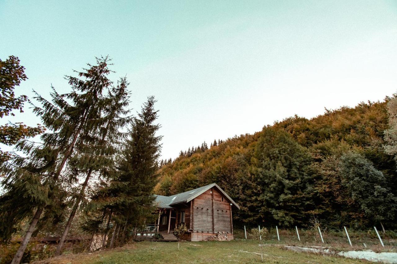 Cabana La Pantiru Valeni-Stinisoara Esterno foto