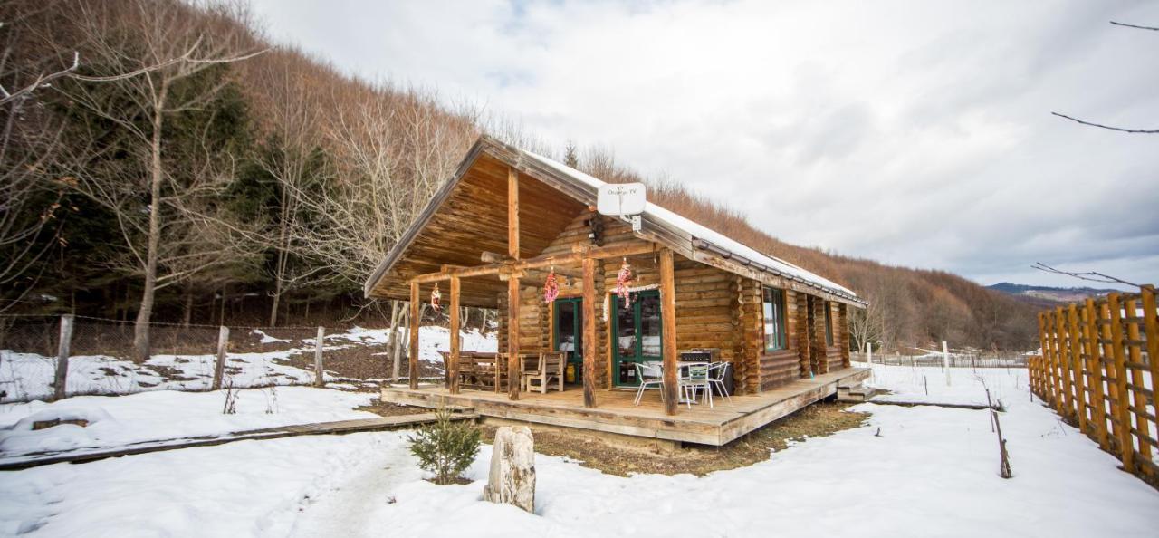 Cabana La Pantiru Valeni-Stinisoara Esterno foto